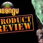 in‌sangu product review image