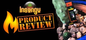 in‌sangu product review image