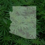 arizona cannabis