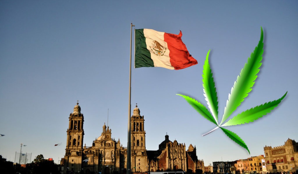 mx cannabis legalization