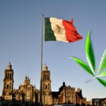 mx cannabis legalization