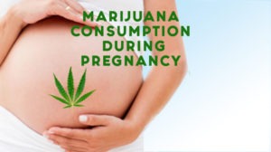 marijuana consumption during pregnancy