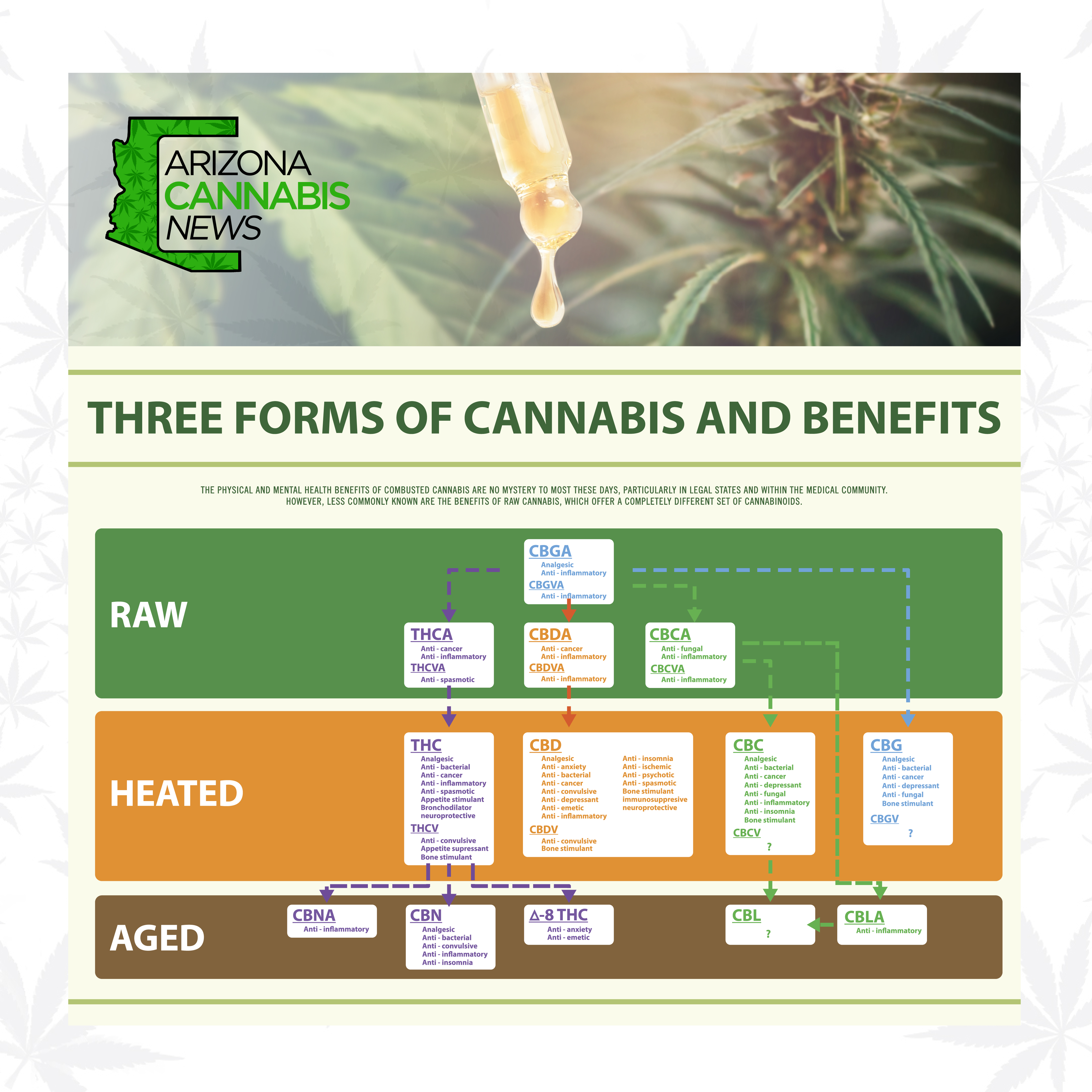 IG Post 3 forms of Cannabis